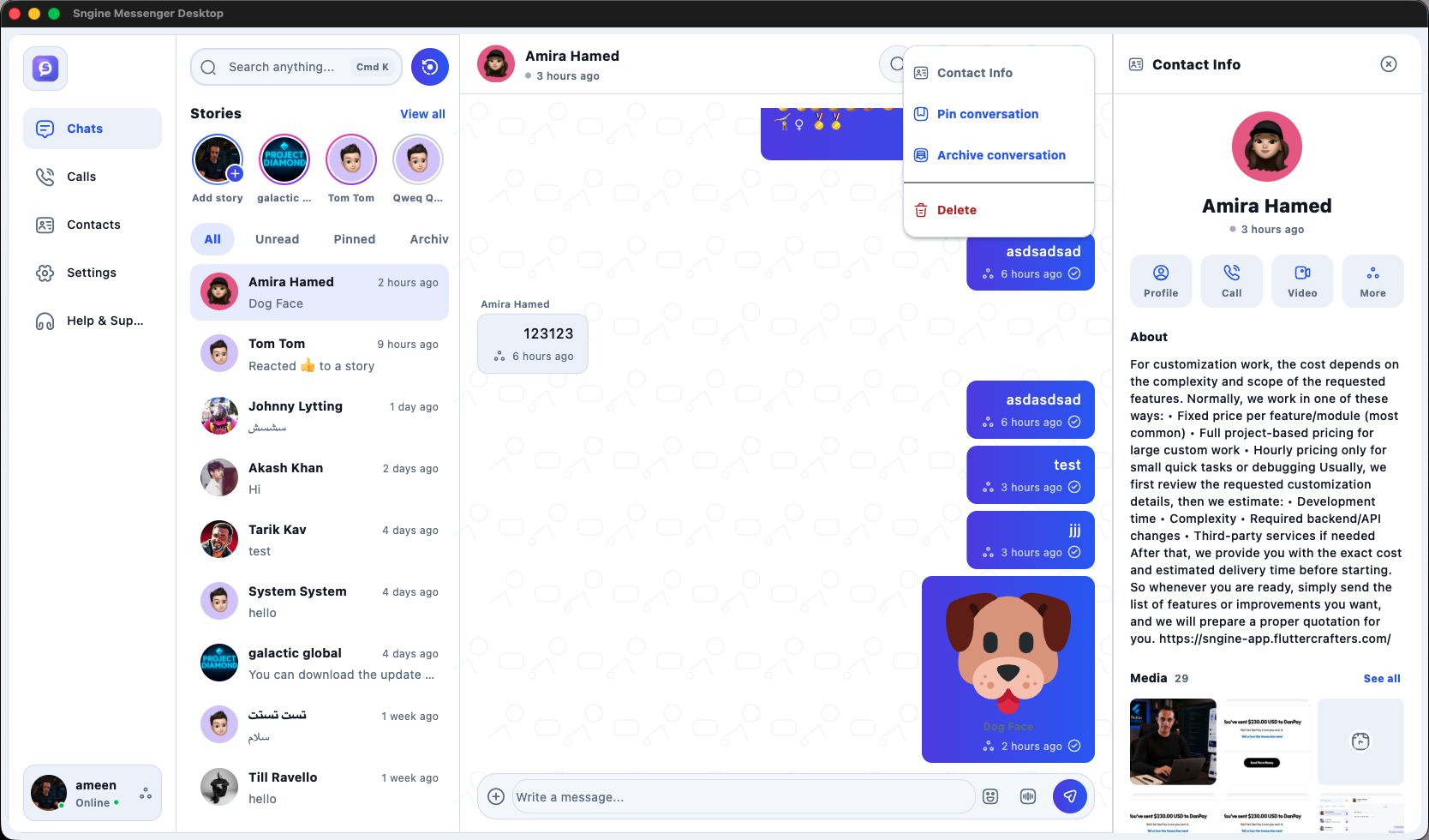 Sngine Pro Messenger Desktop (Windows / macOS / Linux) preview